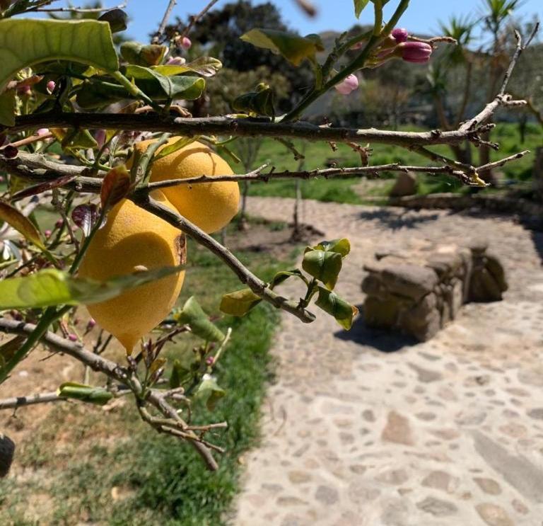 Tenuta Blancamar Country Bed & Breakfast Crisionis Buitenkant foto